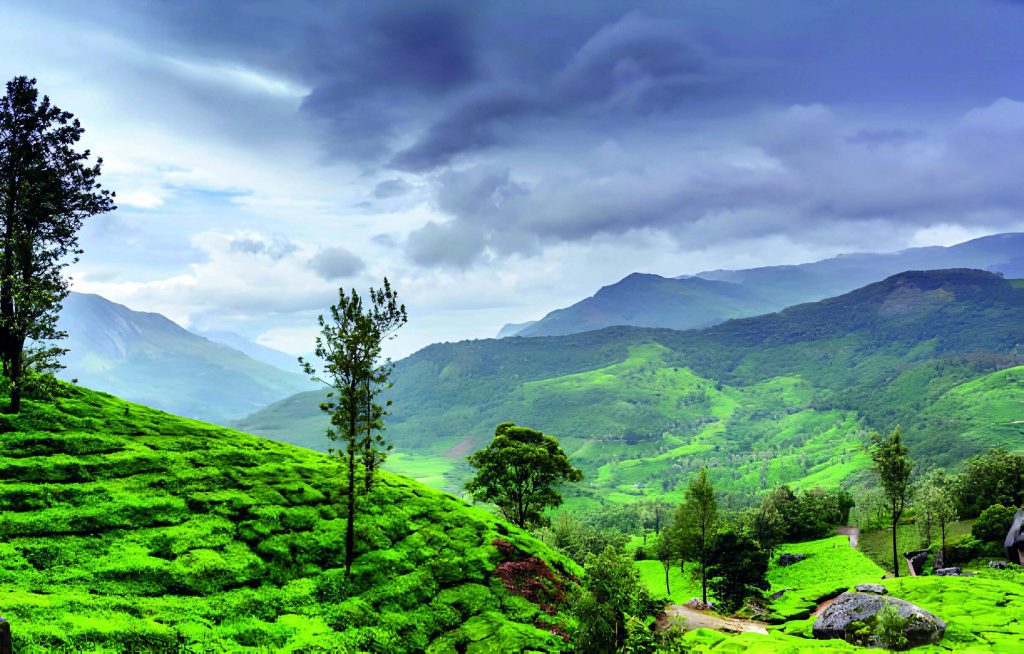 Forest villa in Wayanad