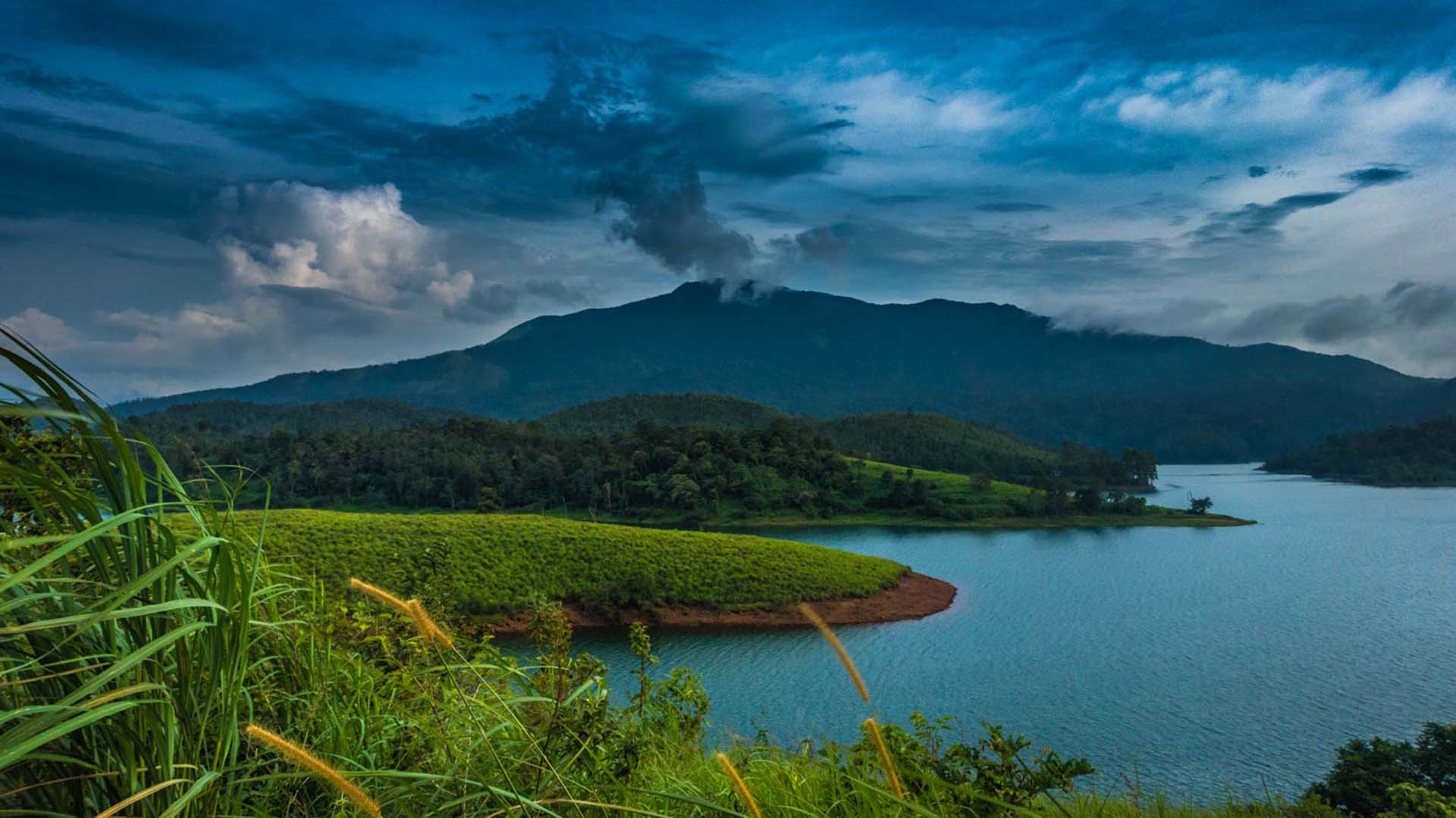 Misty hills of Munnar at sunrise